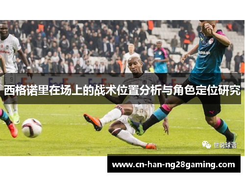 西格诺里在场上的战术位置分析与角色定位研究