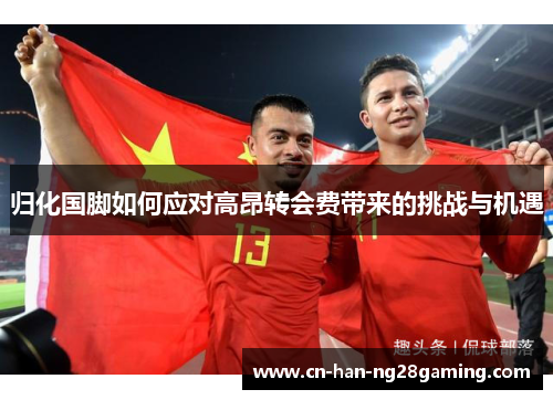 归化国脚如何应对高昂转会费带来的挑战与机遇 归化国脚如何应对高昂转会费带来的挑战与机遇