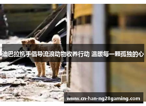 迪巴拉携手倡导流浪动物收养行动 温暖每一颗孤独的心 迪巴拉携手倡导流浪动物收养行动 温暖每一颗孤独的心