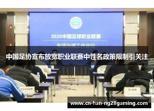 中国足协宣布放宽职业联赛中性名政策限制引关注 中国足协宣布放宽职业联赛中性名政策限制引关注